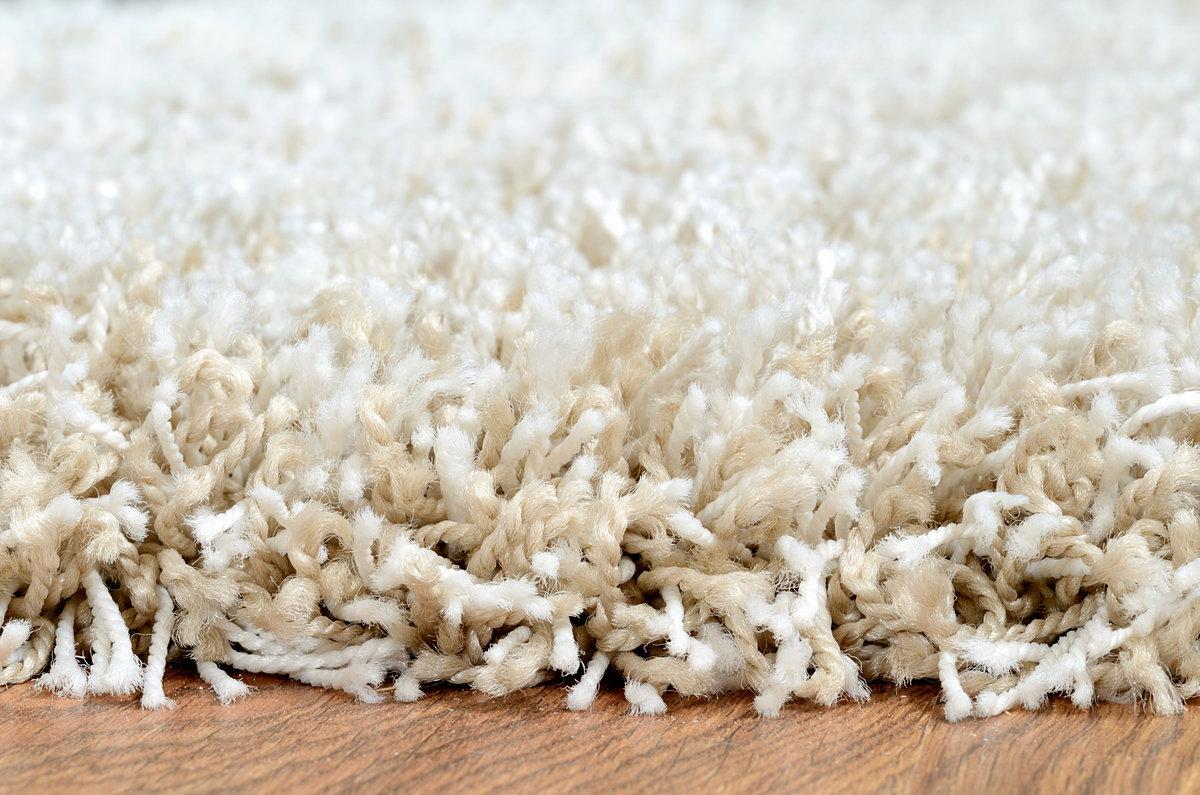 When and Why to Replace Your Carpet?