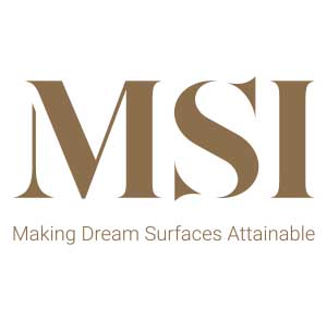 Msi logo